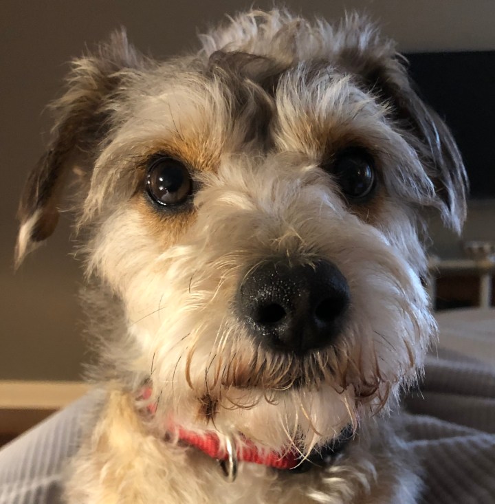 AA4004E3-59E9-47F3-B4AD-313D1A0C85C1