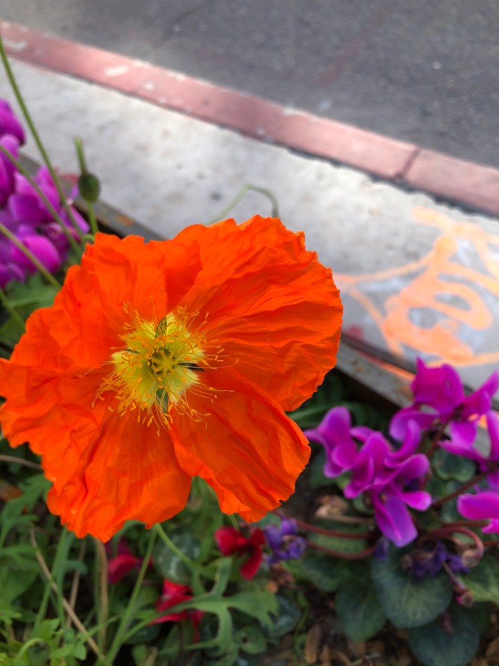 CBB295FF-8998-43C7-A5D0-9DFB6E9F6E52