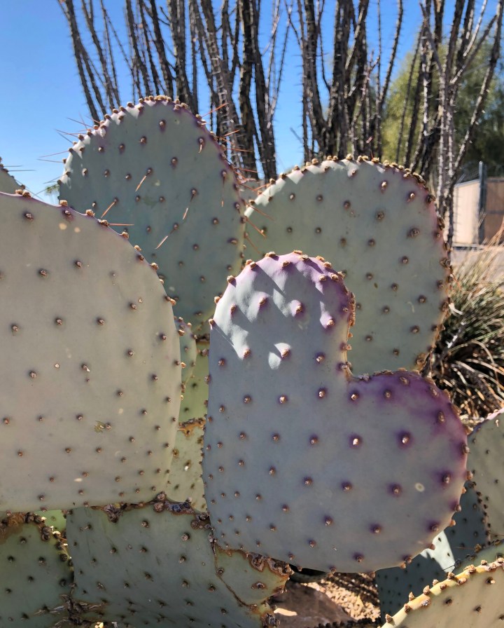 D30FBB73-FDC2-458A-832B-F3BBB4042B18