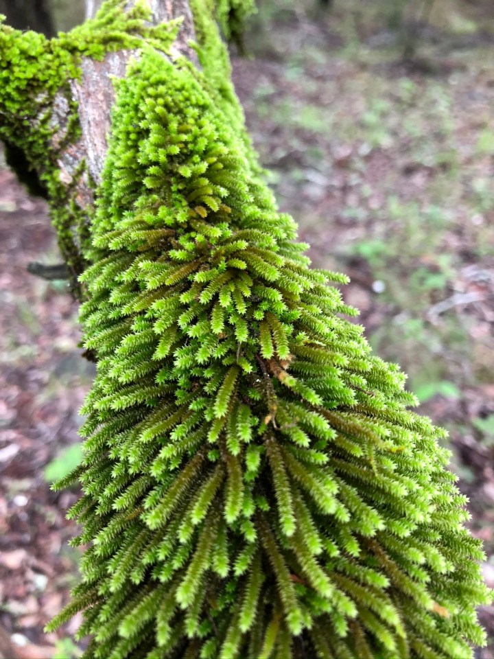 00D8B11C-AB60-45C6-91BA-918F58230652