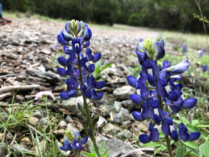 2E62618F-6BE5-42F1-9287-B5ED31840384