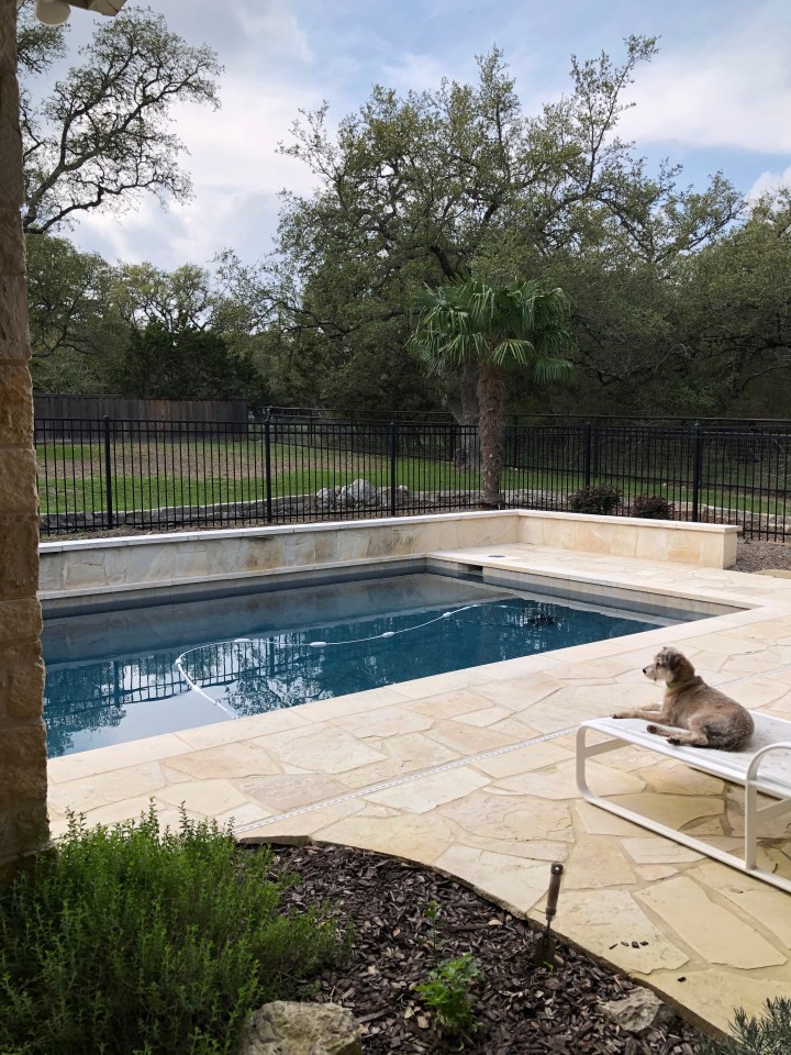 34D067C8-A948-429F-9FD7-97FF58AA396F