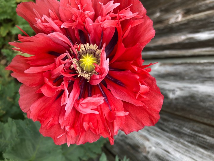 B7562E4B-4ED9-4D19-BD54-A203618B9076