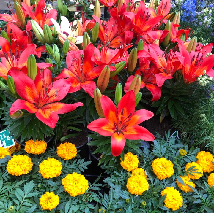 F8A0B4BD-055F-4E1C-A393-EDDD24F38A08