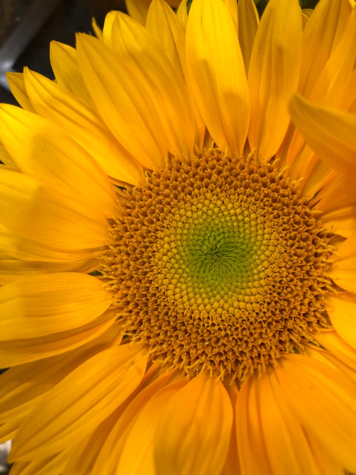 B8024B35-69F7-4564-B513-E85C8A8F3699