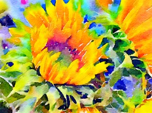 Preset Style = Bold
Lightness = Auto-Exposure
Size = Medium
Border = No Border