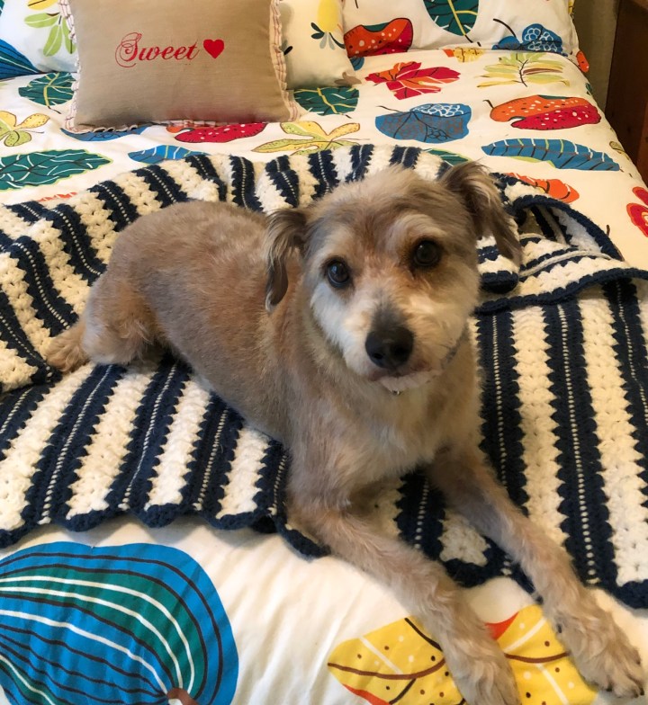 219633EA-3076-4381-8DE3-1C619C1C2DB7