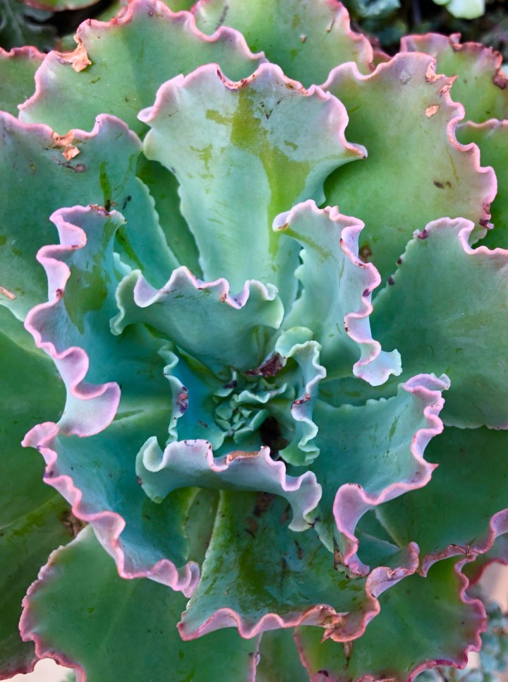 EF736A21-4124-4735-B4A0-98874620D06A