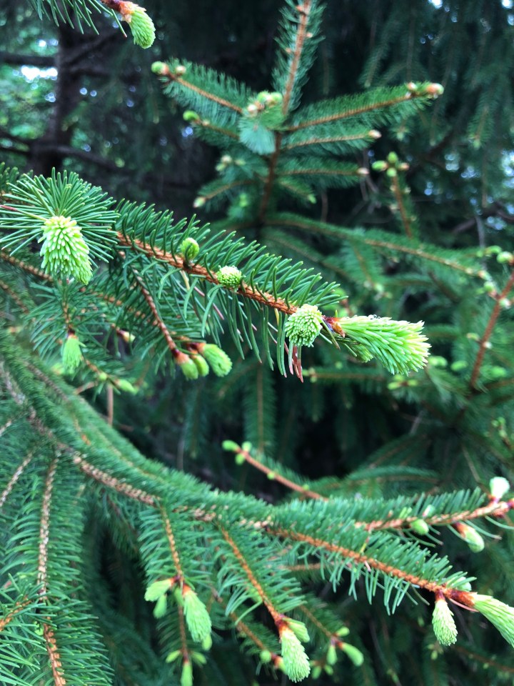 542BA7F7-2ADB-4BB7-A234-7855C78AEA14