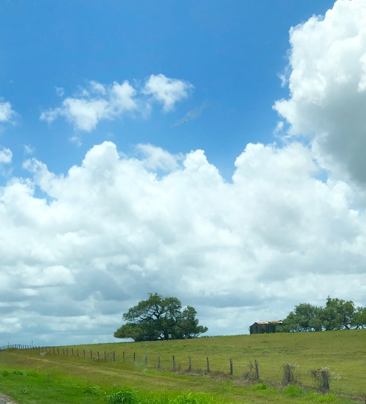 C02FD4C3-AEF6-46DA-B8CA-2719308EE34C