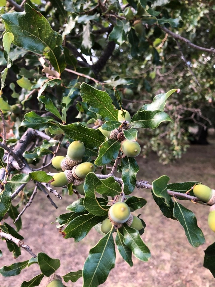 E124A3AD-9D1F-4AF5-91BB-1CF59E5560A4